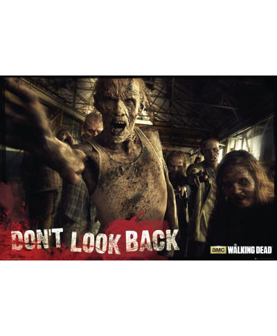 The Walking Dead Zombie - plakat