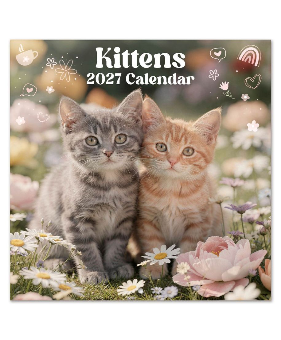Kotki - kalendarz 2027