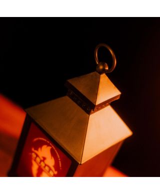 Harry Potter Zakon Feniksa - lampa
