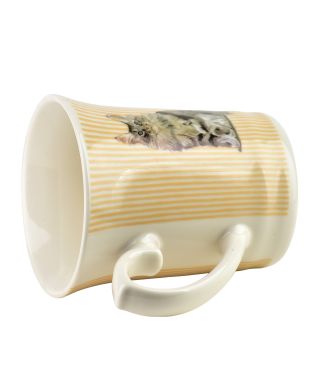 DANNY Kubek 300ml 8,5x12x10cm paski kot