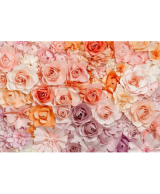 Fototapeta ścienna - Kolorowe Kwiaty - 366x254 cm
