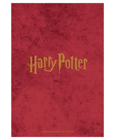 Harry Potter - kalendarz książkowy A5 2027
