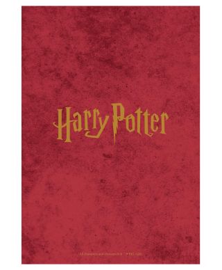 Harry Potter - kalendarz książkowy A5 2027