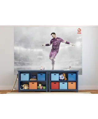 Fototapeta Artur Boruc Reprezentacja Polski - 254x184 cm