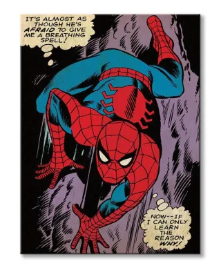 Spiderman (Reason Why) - Obraz na płótnie