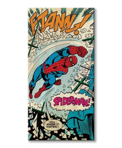 Spiderman (Punch) - Obraz na płótnie