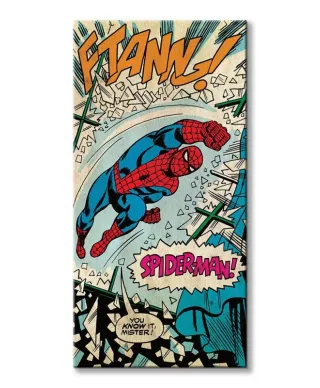 Spiderman (Punch) - Obraz na płótnie