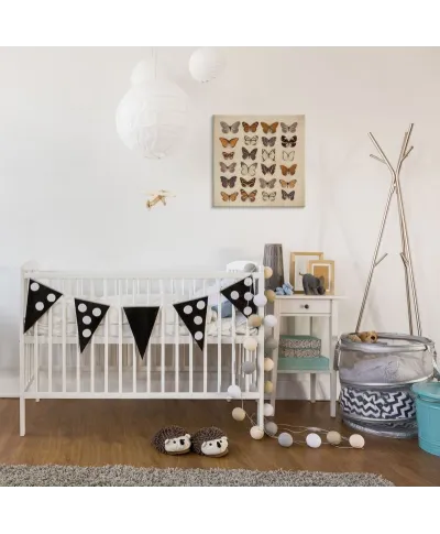 Butterfly Collection - Obraz na płótnie