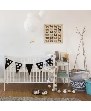 Butterfly Collection - Obraz na płótnie