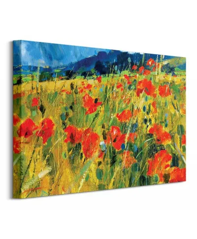 South Downs Poppies - Obraz na płótnie