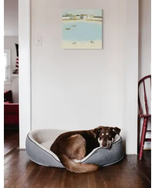 Waiting For The Catch - Obraz na płótnie