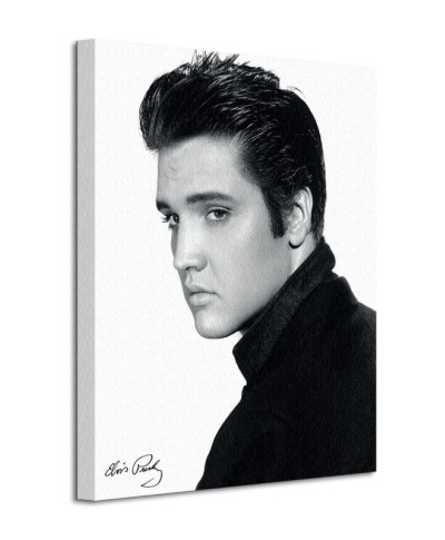 Obraz na płótnie - Elvis (Portrait) - 40x50 cm