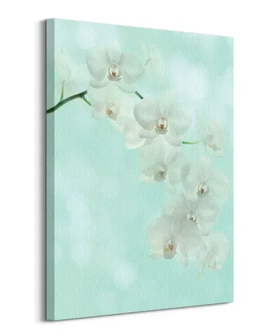 White Orchid - Obraz na płótnie
