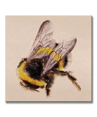 Bee - Obraz na płótnie