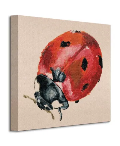 Ladybird - Obraz na płótnie