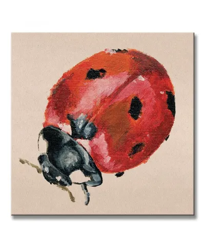 Ladybird - Obraz na płótnie