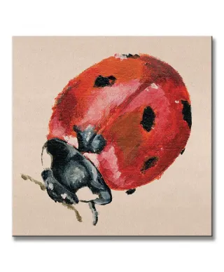 Ladybird - Obraz na płótnie