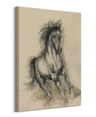 Obraz na płótnie - Koń - Missy In Motion - 60x80 cm