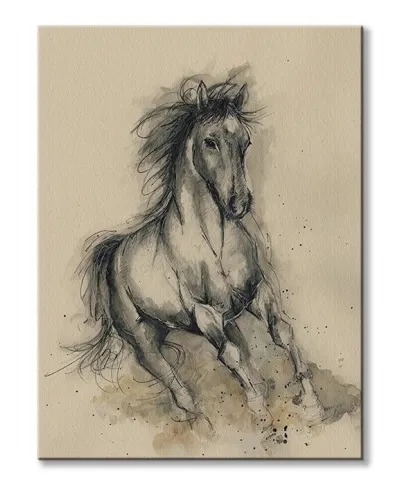 Obraz na płótnie - Koń - Missy In Motion - 60x80 cm