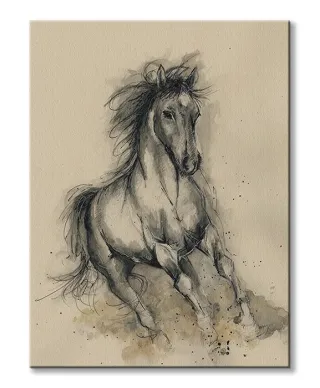 Obraz na płótnie - Koń - Missy In Motion - 60x80 cm