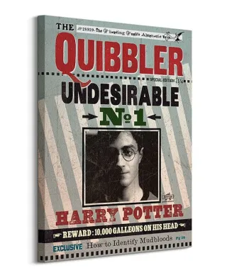 Harry Potter (Quibbler) - Obraz na płótnie