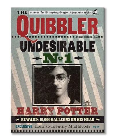 Harry Potter (Quibbler) - Obraz na płótnie