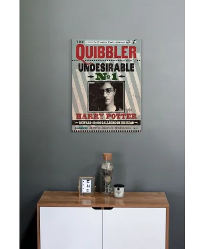 Harry Potter (Quibbler) - Obraz na płótnie