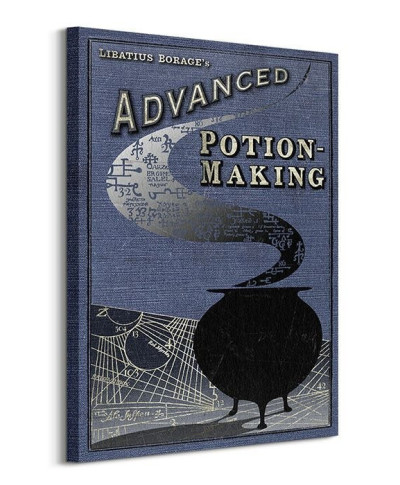 Harry Potter (Potion Making) - Obraz na płótnie