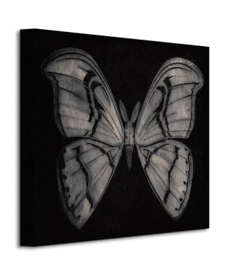 Moth - Obraz na płótnie