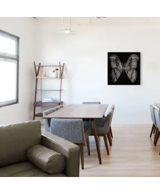 Moth - Obraz na płótnie