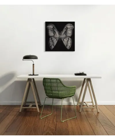 Moth - Obraz na płótnie