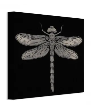 Dragonfly - Obraz na płótnie