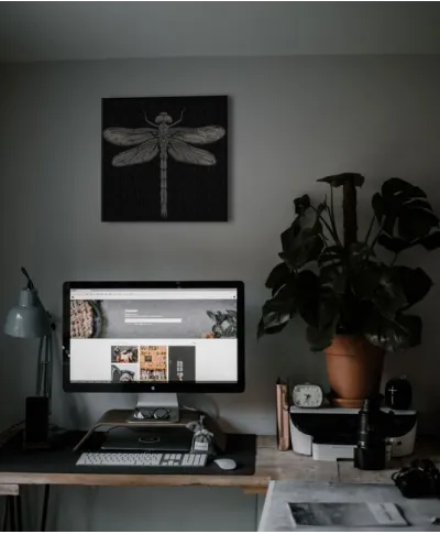 Dragonfly - Obraz na płótnie