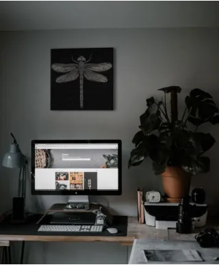 Dragonfly - Obraz na płótnie
