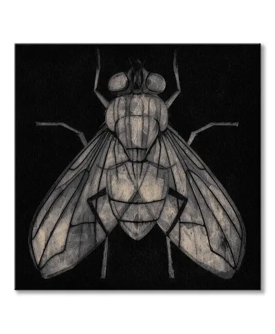 Fly - Obraz na płótnie