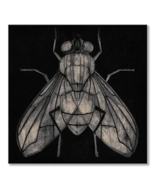 Fly - Obraz na płótnie