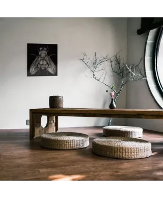 Fly - Obraz na płótnie