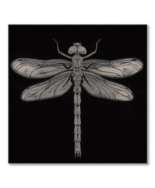 Dragonfly - Obraz na płótnie