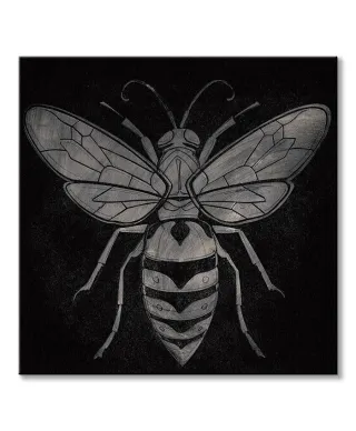 Wasp - Obraz na płótnie