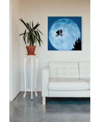 Obraz dla dzieci - ET (MOON)  - 60x60 cm