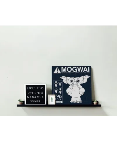 Gremlins (Mogwai Rules) - Obraz na płótnie