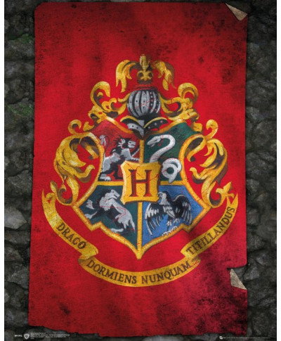 Plakat - Harry Potter - Hogwart Flaga