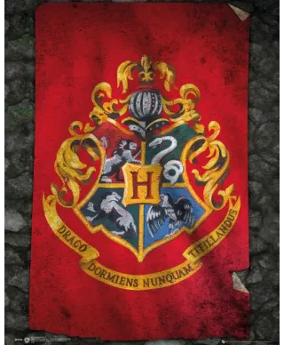 Plakat - Harry Potter - Hogwart Flaga