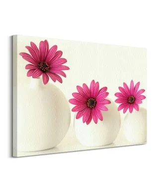 Pink Cape Daisies - Obraz na płótnie