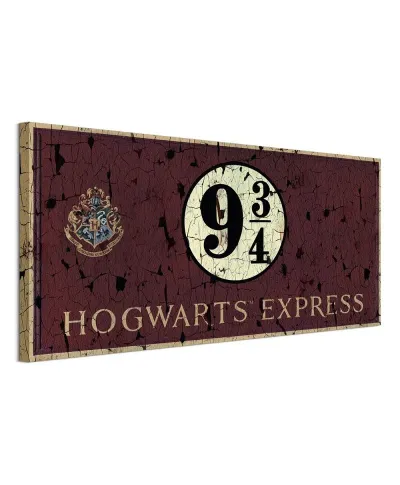 Harry Potter (Hogwarts Express) - Obraz na płótnie