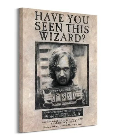 Harry Potter (Wanted Sirius Black) - Obraz na płótnie