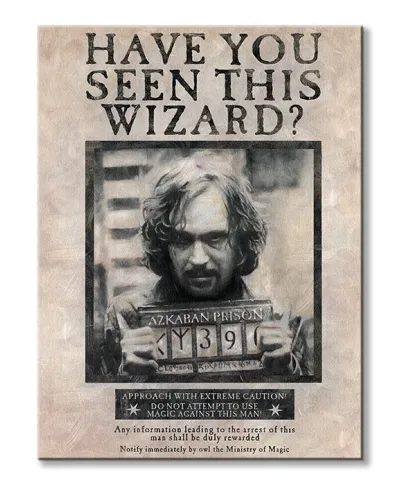 Harry Potter (Wanted Sirius Black) - Obraz na płótnie