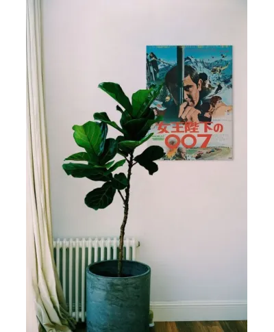 Obraz na płótnie - James Bond (OHMSS Foreign Language)