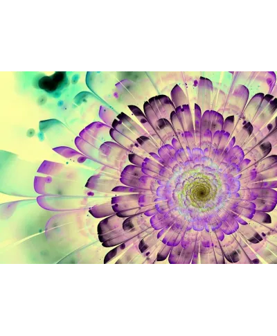 Fototapeta ścienna - Muśnięty fioletem - 366x254cm
