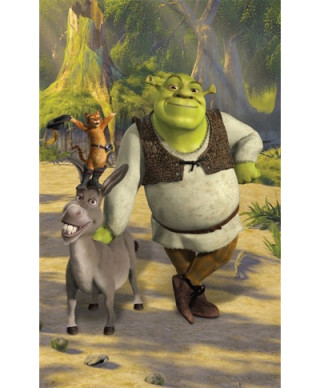 Fototapeta dla dzieci - Shrek - 3D - 244x152cm